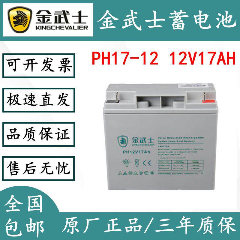 金武士PV12V100AH直流屏PH12V65AH/PW38-2/PV24-12-YA17a7a蓄电池