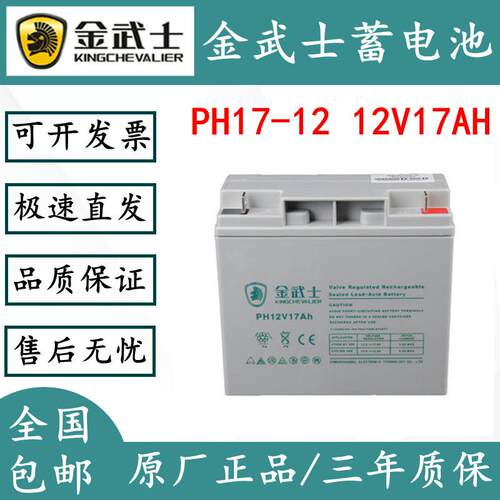 金武士PV12V100AH直流屏PH12V65AH/PW38-2/PV24-12-YA17a7a蓄电池