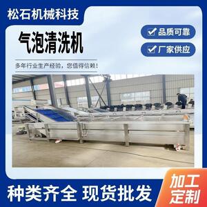 全自动果蔬气泡清洗机苹果玉米大枣高压喷淋清洗机净菜加工设备