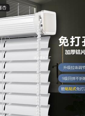 NuSun 柯基(中小型犬)成犬鸡肉燕麦专用粮 2.5KG卫生间百叶窗帘20