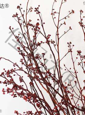 永生灯台干枝树枝自然干花装饰艺术插花山归来中式软装陈设宅寂风