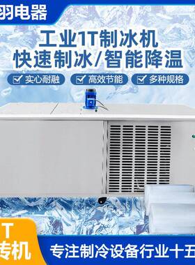 广东厂家直销1-5t大型冰块机果蔬运输冰条机工地降温冰块设备出售