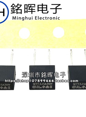SET方形保险丝 T0.5A 1A 2A 2.5A 3.15A 4A 5A 6.3A 8A 10A 250V