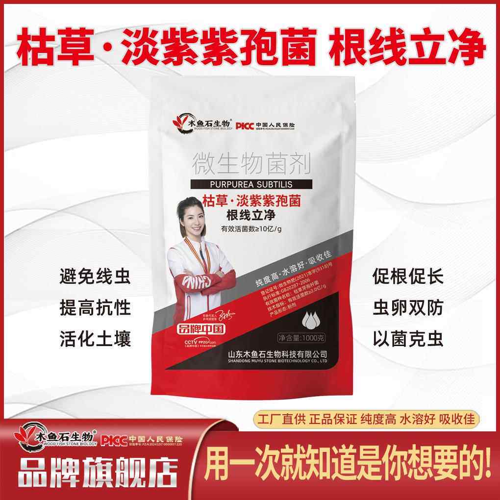 根线虫专用药淡紫紫孢菌拟青霉杀根结线虫克星根线清微生物菌剂