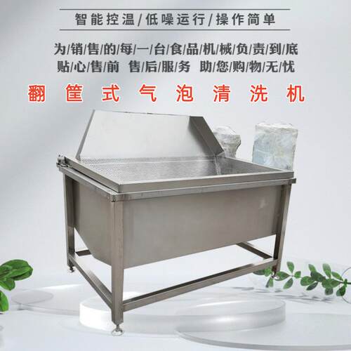 蔬菜小型气泡清洗设备1500型果蔬翻筐式气泡清洗机海鲜清洗机器