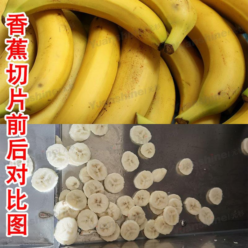元杉多功能头切菜机根茎类果蔬切丁机鲜姜大蒜切片机不锈钢材质