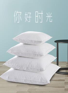 鹅毛羽绒抱枕芯内胆沙发靠垫芯45x45x50羽毛靠枕芯酒店腰靠背方形