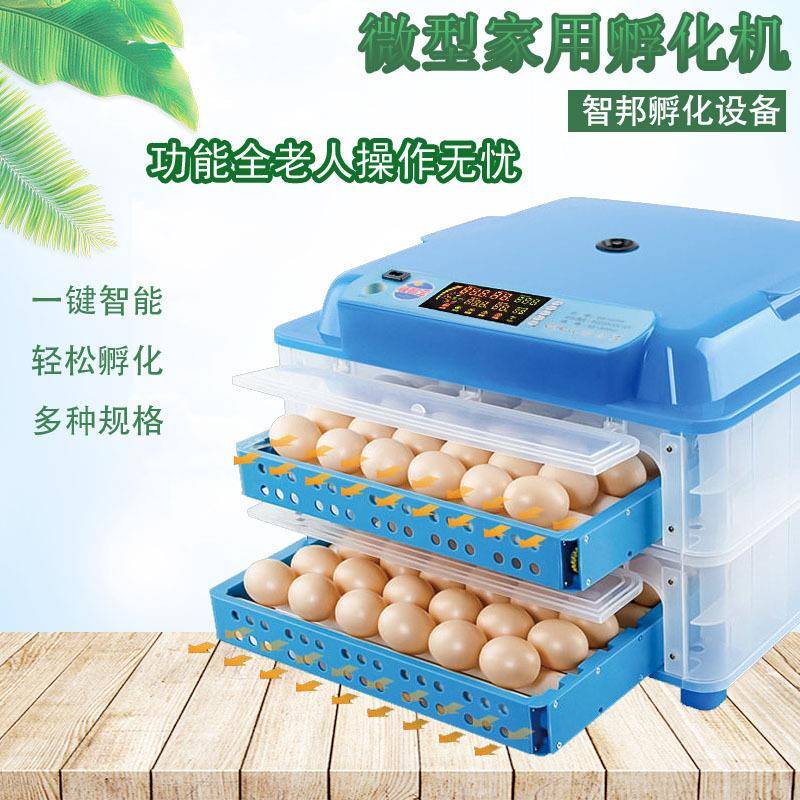 微型家禽种蛋孵化箱小鸡孵化器家用小型孵蛋器孵化机全自动
