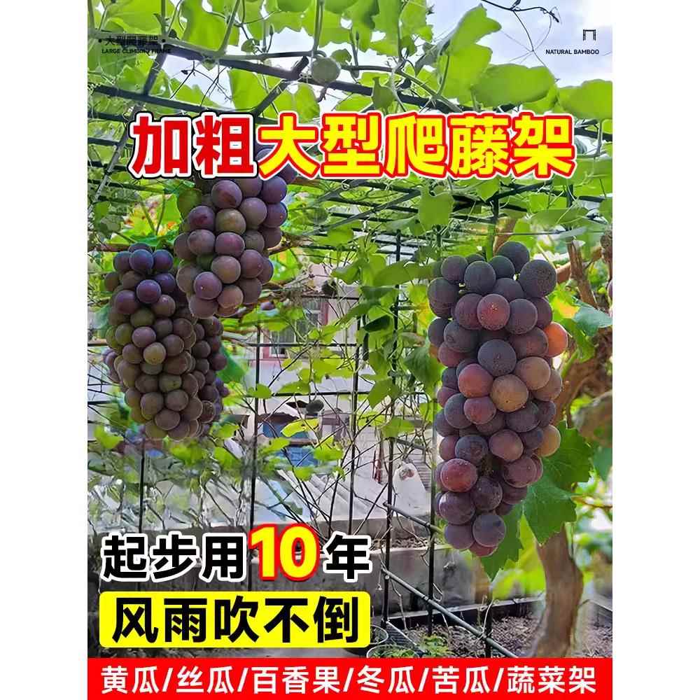 叛变沙漠风暴
