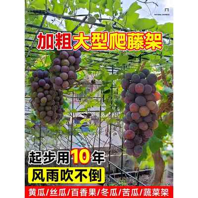 叛变沙漠风暴