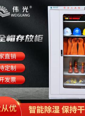 伟光普通安全工具柜电力安全帽存放柜脚扣/安全带存储柜厂