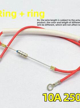 电饭煲高压锅电火锅金属温度保险丝温度热阻保险丝10A250V