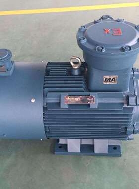5.5KW 电机 M2BAX 132MB6 IMB3/1M1001 5.5KW