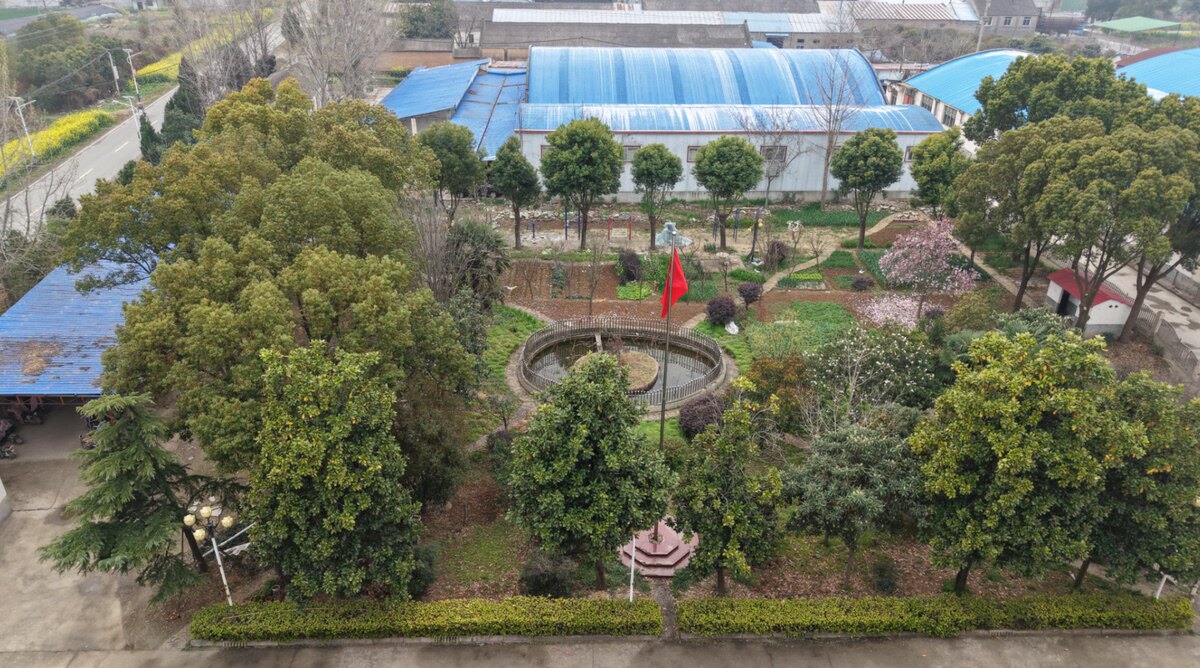 5月16日南阳市纺织公司房屋建筑物、构筑物及生物资产网络拍卖公告