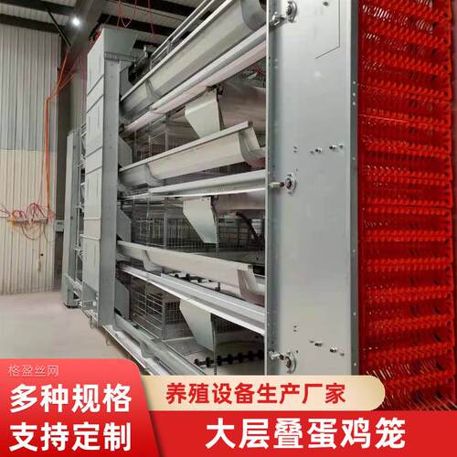 鸡笼养殖场大层叠蛋鸡笼自动饲喂自动清粪集蛋养殖设备镀锌养殖笼