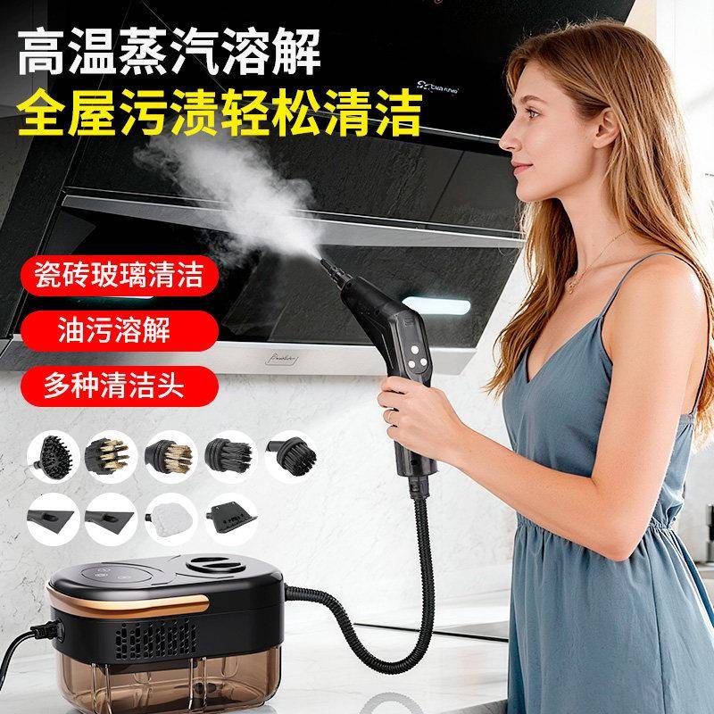手持式高压高温蒸汽清洁器小型家用消毒空调厨房油污深度清洗工具