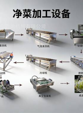 山野菜清洗加工设备净菜加工蔬菜红薯萝卜水果玉米配套清洗流水线