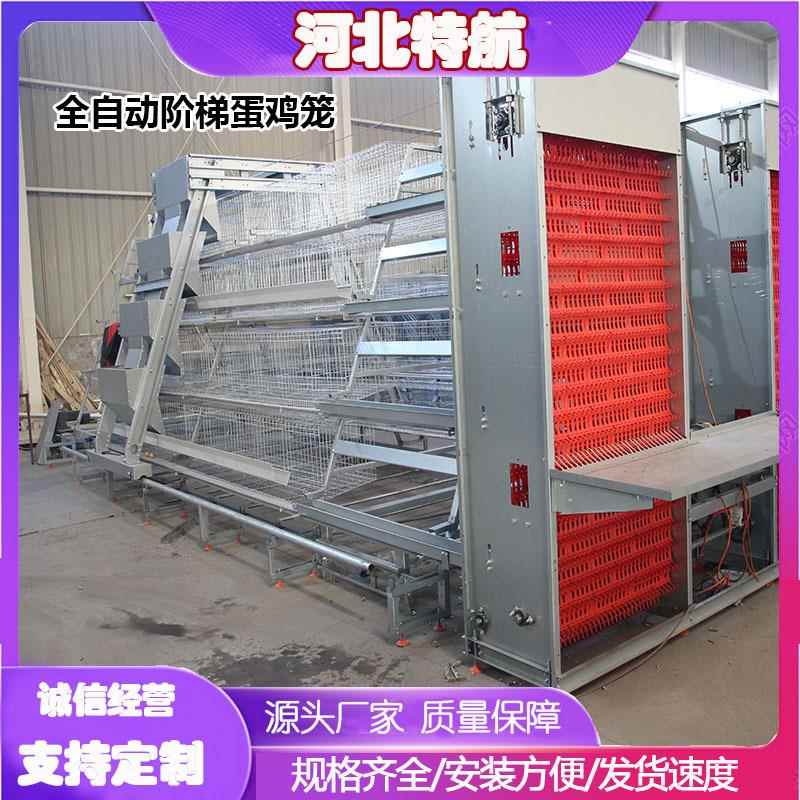 蛋鸡笼多层阶梯全自动清粪捡蛋喂料简单加背负式喂料机捡蛋机