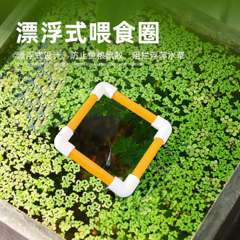 鱼缸悬浮漂浮喂食圈喂食器喂食管投食管鱼粮防止飘散浮萍阻拦橙白