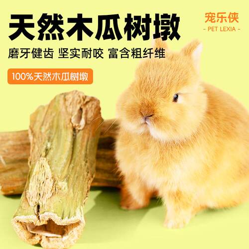 兔子磨牙玩具棒零食龙猫荷兰猪烘干木瓜墩解闷天然木瓜树