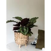 实木编织花架竹编篮桌面家居收纳竹木编织篮绿植花卉装 饰摆放花篮