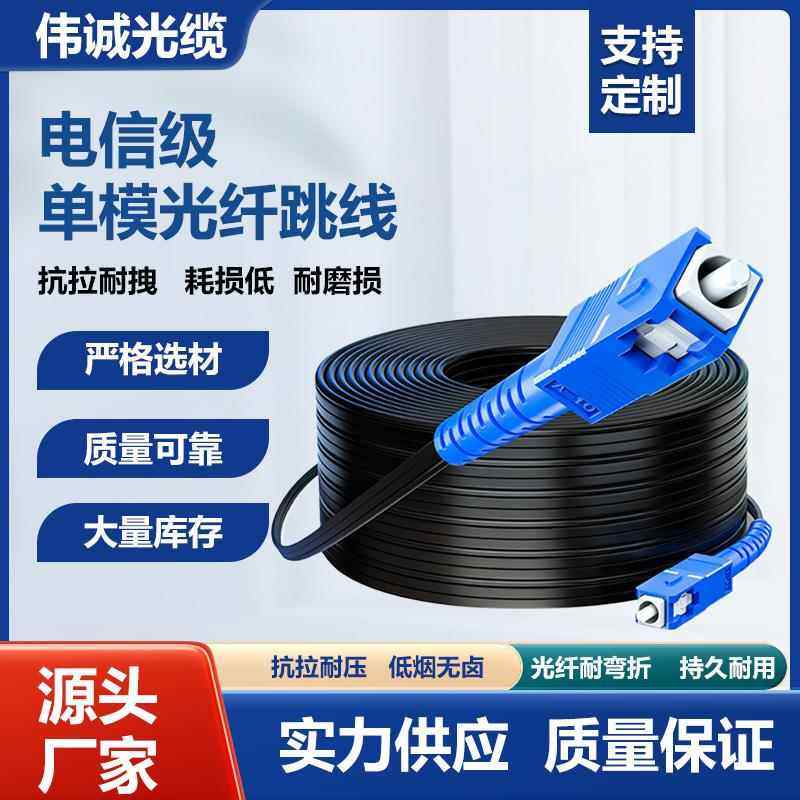 皮线 线光纤单模单芯双芯室内室外跳线 线2芯100米成品线 线SC光纤线 线电信级