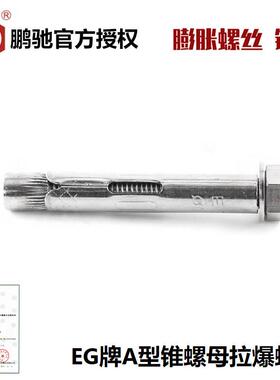 EG鹏驰内置式外六角内膨胀螺丝A型锥螺母拉爆螺栓M6.5M8M10M12M16