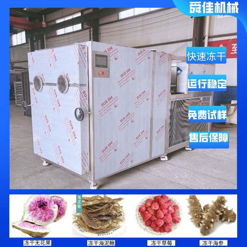 脆柿切片真空冻干机昆虫土元低温脱水干燥机中药材冻干机厂家