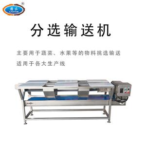 赣云机械生产双层挑选机也叫分选机两层输送带工作操作台厂销