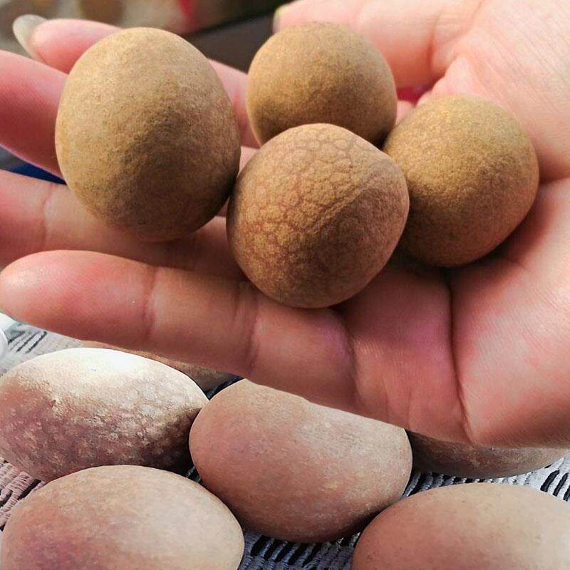 新货广西石峡龙眼干农家自晒干货大桂圆干8A特级肉厚核小500gx2包