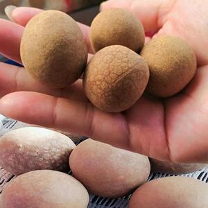 新货广西石峡龙眼干农家自晒干货大桂圆干8A特级肉厚核小500gx2包