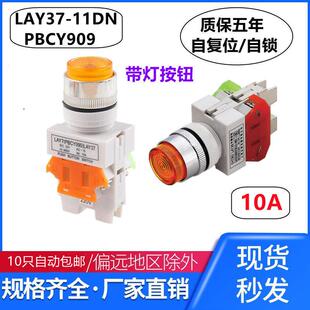 带灯按钮开关自覆位 PBCY090 自锁 开孔22mm 24V LAY37 220V 11DN