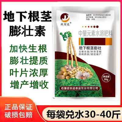 地下根茎膨大素土豆红薯萝卜山药地瓜姜蒜块根块茎叶面肥促长控旺