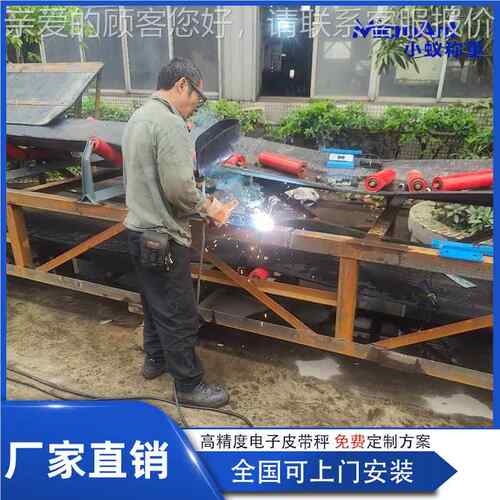 防爆电子皮带秤全xiaoyi悬浮式秤电带子皮 带 无线电子皮秤计量皮