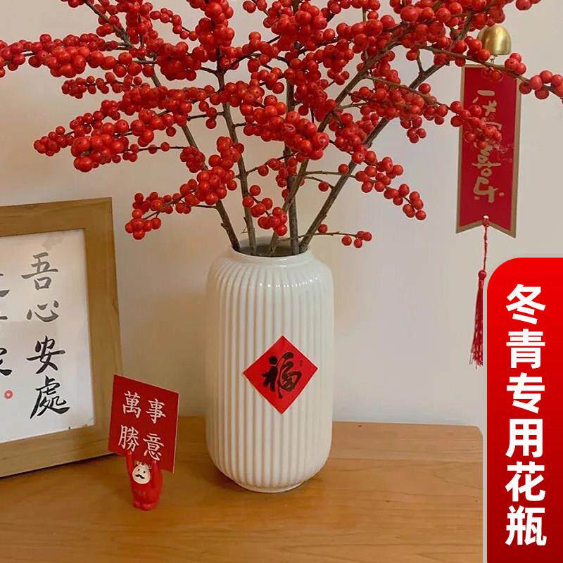 冬青专用花瓶适合放冬青的陶瓷白瓶插银柳桌面干燥花年宵花水培瓶