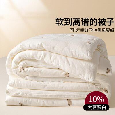 2025 summer quilt/comforter/blanket/quilts/duvet /blankets