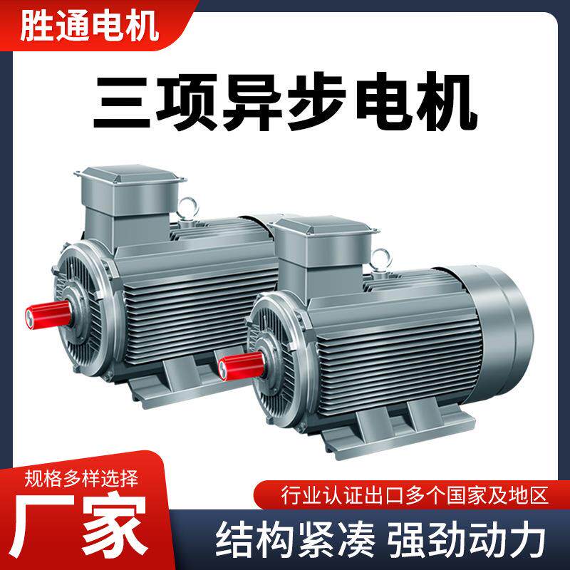 电机全铜绕线硅钢片定转子4极22千瓦电动机马达Inductionmotor