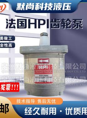法国进口HPI齿轮泵P1BAN1004CL10B01N/C5074932 P1BN1005FL油泵