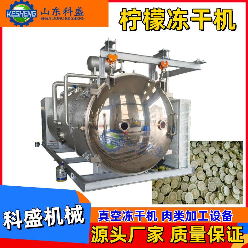 柠檬片真空冻干机 无花果金桔真空冷冻干燥机 花果茶冻干设备