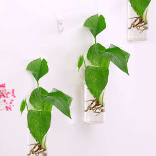 水培圆柱植物容器家居墙面装饰挂件创意欧式壁挂玻璃花瓶悬挂墙上