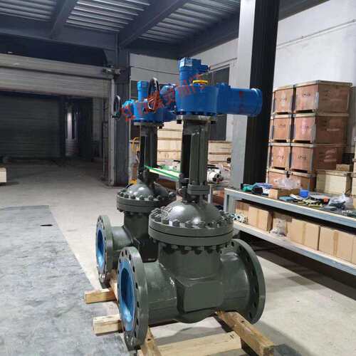 AC660V矿用隔爆型电动闸阀MKZ941H-160CDN300带485总线通讯