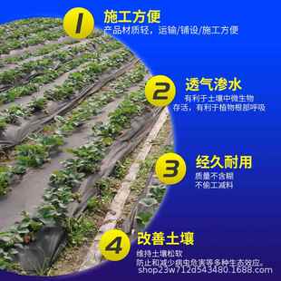 防草布抗老化遮草盖草抑草布果园果树透水透气农用除草布保湿地布