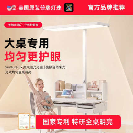 2024新款护眼大路灯横头儿童全光谱学习专用台灯桌面立式落地灯生