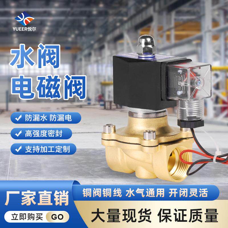2w-160-15黄铜管道控制阀220V24V放水电子阀常闭电磁阀水阀气阀