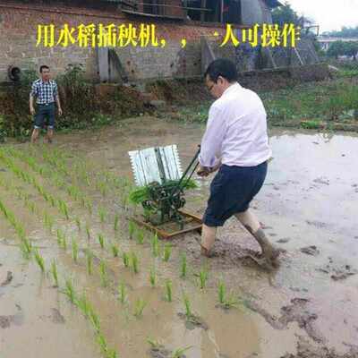 插秧机手摇式水稻新式两行插禾机小型插秧机种植机农用耕种机械