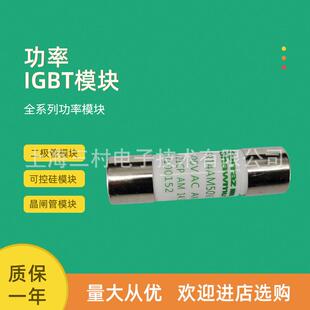 全新熔断器保险丝FR14AR69V50 器件保护器 S1027334全新电子元
