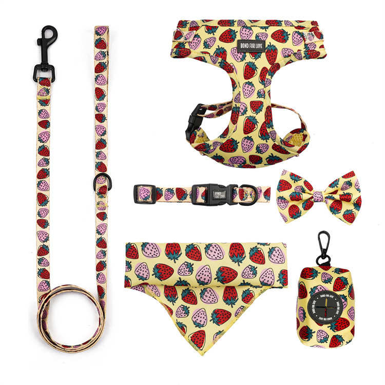 Bond for love欧洲宠物猫狗6件套胸背牵引绳领结拾便包三角巾颈圈