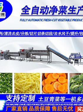辣椒清洗加工设备清胡萝土豆洗切割卜净菜生产线果蔬气泡洗清机