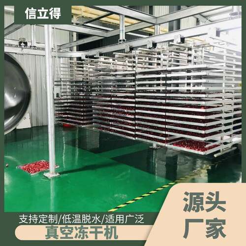 FD冻干果蔬脆片设备厂家大型真空冻干机肉类低温脱水干燥机