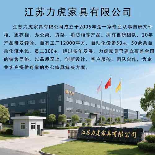 钢皮制办公室铁文柜财务资LH-25510件料矮档案柜带锁凭证柜抽屉柜